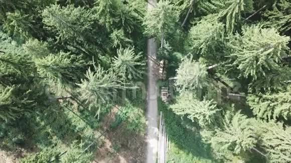 从空中俯瞰森林中央的一条道路飞过视频的预览图