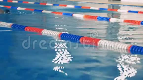 女游泳运动员在游泳池里训练视频的预览图