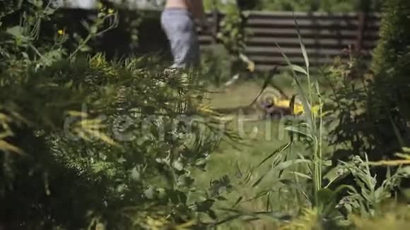 一个胖秃头光着光着上身用黄色割草机修剪草坪关注前景中的叶子视频的预览图