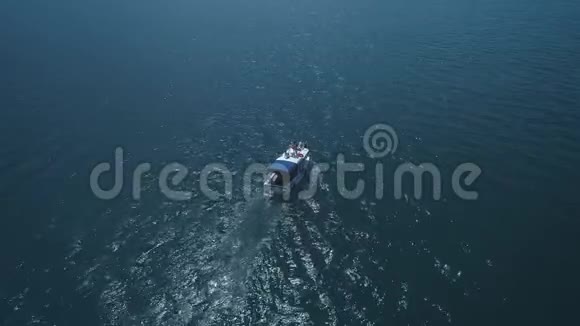 一群海豚从船旁边的水中跳出来海豚在船前游泳海豚视频的预览图