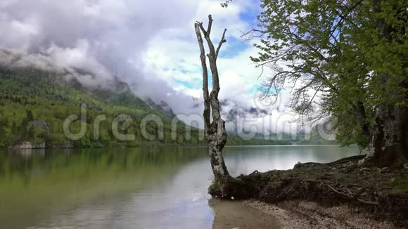 斯洛文尼亚山脉之间的博欣茨科视频的预览图
