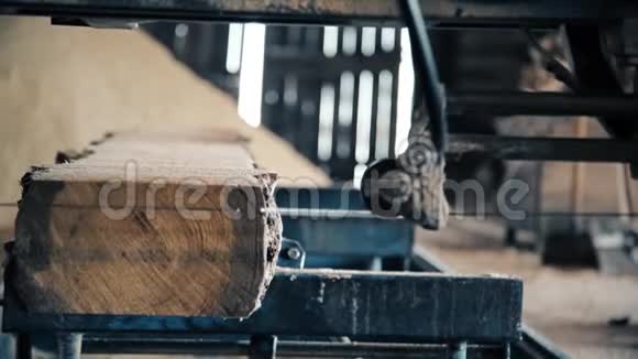 在锯木厂的春天里有一块木板视频的预览图