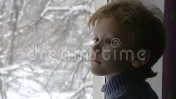 男孩看着雪视频的预览图