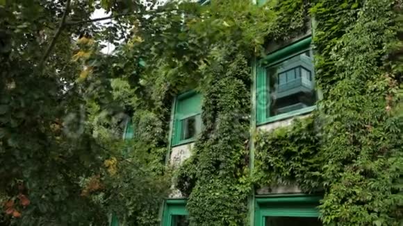 大房子完全长满了灌木丛许多窗户都是绿色的视频的预览图