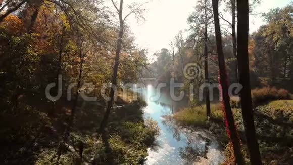 秋天公园树间的飞行无人机视频的预览图