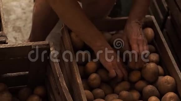 老妇人从一个盒子里扔土豆慢视频拍摄视频的预览图