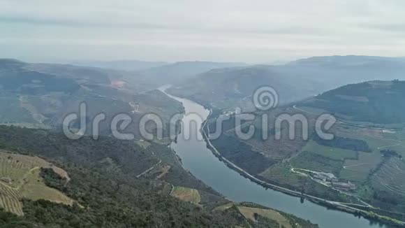 葡萄牙梯田葡萄园的鸟瞰图视频的预览图