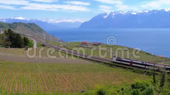 瑞士火车在靠近日内瓦湖和阿尔卑斯山的山坡上沿着风景铁路行驶瑞士视频的预览图
