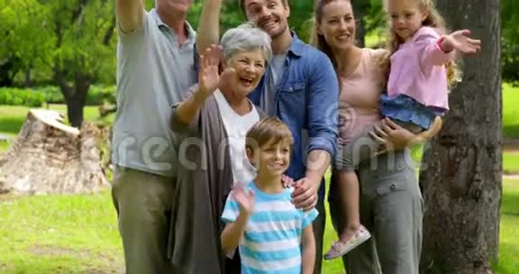 多代家庭在公园里对镜头摆姿势和挥手视频的预览图