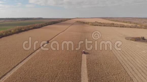 秋收玉米高空俯视图空中射击视频的预览图