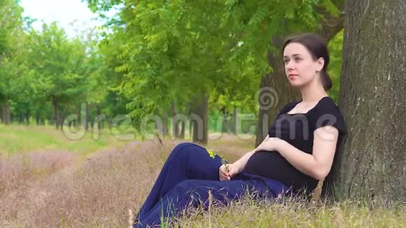 一个年轻漂亮怀孕的女孩穿着一件黑色T恤坐在树下视频的预览图