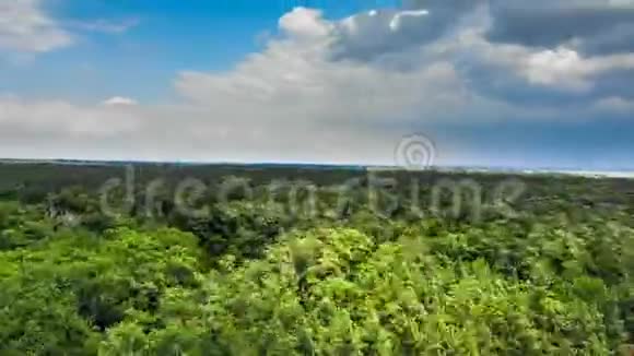 蓝天中云团在绿林上空的超垂空中视野视频的预览图
