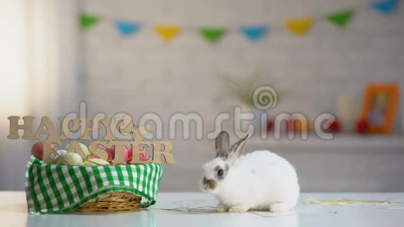 可爱的兔子围着节日篮子在桌子上移动上面有快乐的复活节标志符号视频的预览图