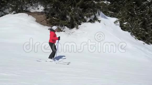 女子滑雪者在松林中的滑雪坡上滑雪视频的预览图