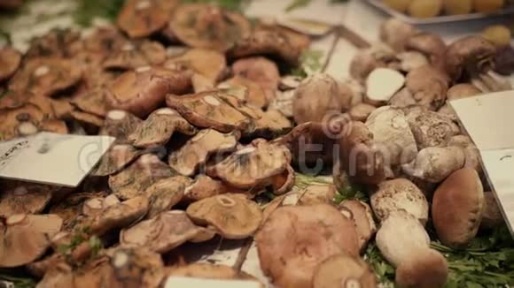 著名的美卡多中央或中央市场的食用蘑菇摊西班牙巴伦西亚视频的预览图
