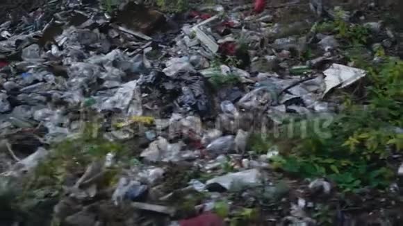 森林污染在森林中倾倒垃圾视频的预览图