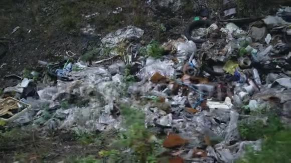 森林污染在森林中倾倒垃圾视频的预览图