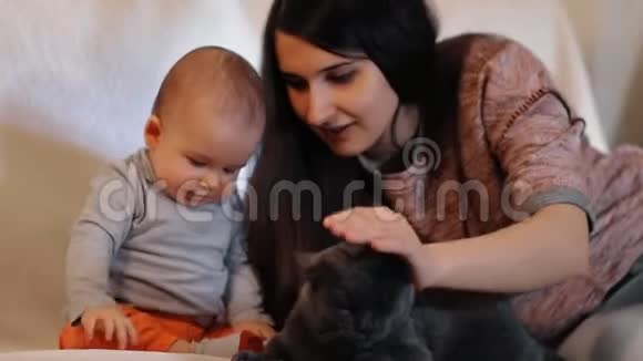 一个年轻快乐的女人和她的小儿子正在抚摸一只猫微笑着慢镜头视频的预览图