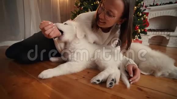 在圣诞树和壁炉的背景下和快乐小狗玩耍的女孩视频的预览图