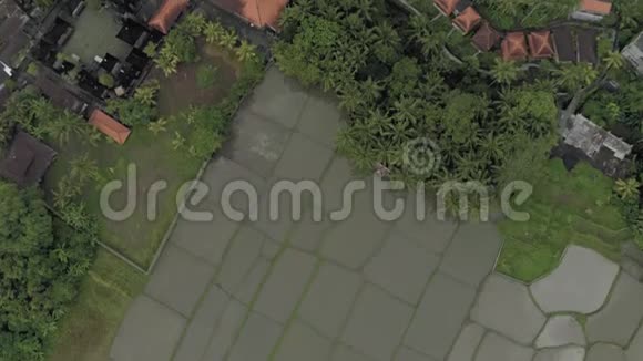 巴厘岛4K无人机飞行村房屋及稻田视频的预览图