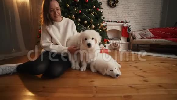 在圣诞树和壁炉的背景下和快乐小狗玩耍的女孩视频的预览图