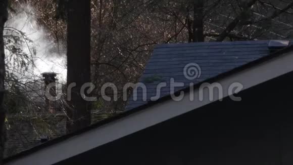 屋顶和烟囱让森林里的烟散视频的预览图