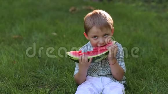 小男孩在公园里吃西瓜的草地上特写视频的预览图