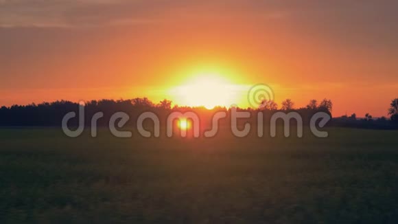 在一个夏日的夕阳下驾车穿越农业领域视频的预览图