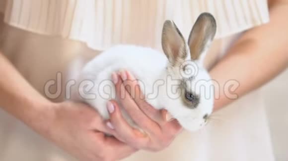 女性手牵小白兔宠物收养计划动物收容所视频的预览图
