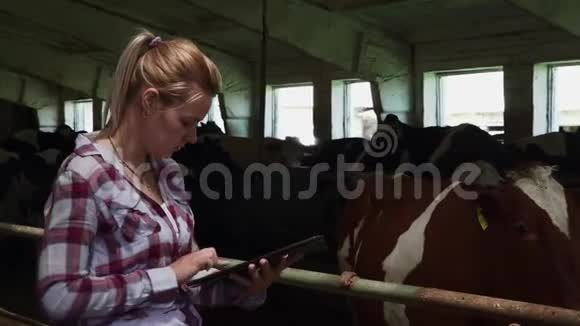 农场女孩正在检查奶牛并将信息放入平板电脑中视频的预览图