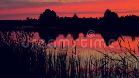 泛在猩红的夕阳下的湖与反射的天空视频的预览图