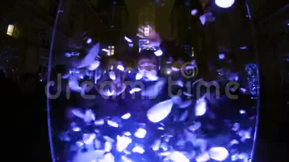 玻璃盒子里有漂浮的羽毛和闪烁的灯光后面的人在做鬼脸视频的预览图