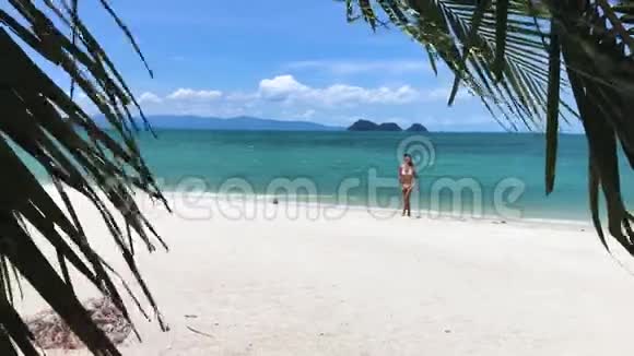 穿比基尼的年轻美女正在热带海滩散步视频的预览图