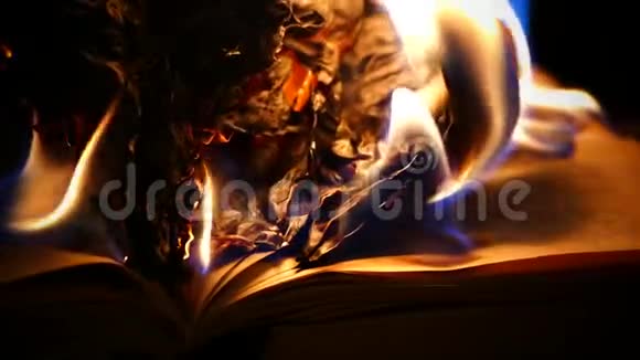 这本书的页数着火了图书档案着火了视频的预览图