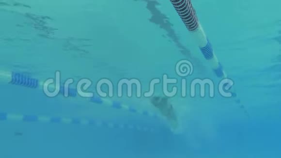 游泳者在水下做蝶泳慢动作视频的预览图