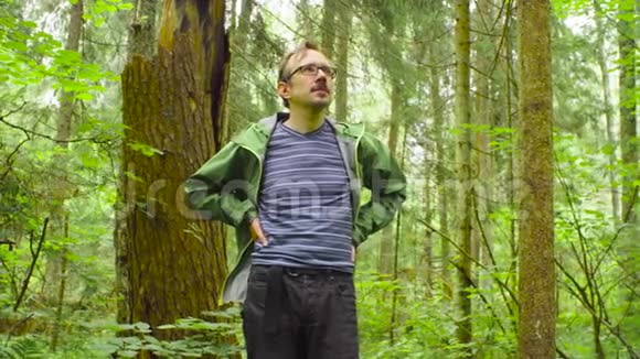 一个森林里的生态学家环顾四周视频的预览图
