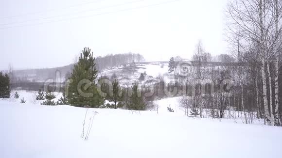 城外下雪视频的预览图