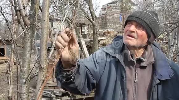 一个非常老的人在春天检查花园里的树木然后开花移除额外的枝条为新的季节做准备视频的预览图