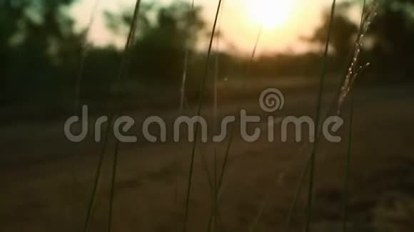 日落时分一辆大篷车沿着土路行驶视频的预览图