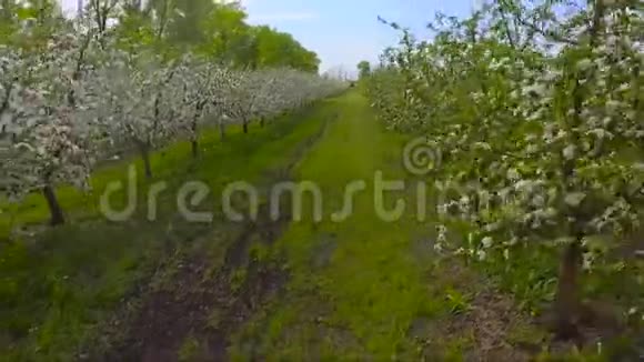 充满无人机的苹果花园视频的预览图