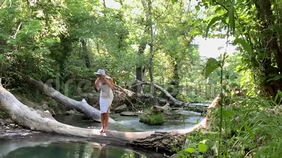 一个漂亮的女人坐在河边的一棵树上视频的预览图