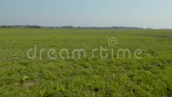 在绿色的田野上快速飞行飞向狩猎塔视频的预览图