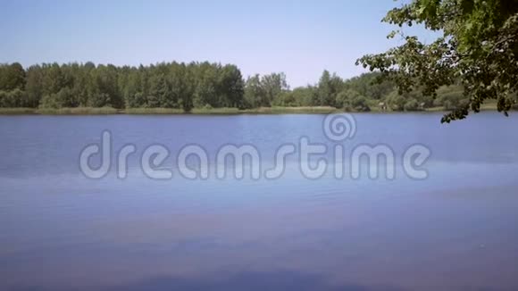 夏日湖景观视频的预览图