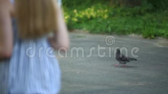 鸟儿在散步直到美丽的女孩艺术家在公园的凳子上拿着颜料调色板视频的预览图
