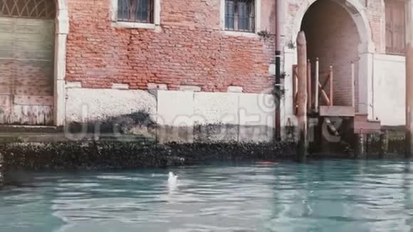 在意大利威尼斯运河上美丽的大气红色建筑上相机放大上面有美丽的蓝色水和海鸥视频的预览图
