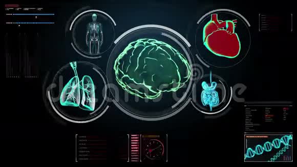 在数字显示仪表板中扫描脑心肺内脏X光透视视频的预览图