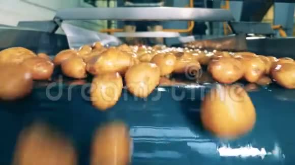 洗后黄土豆在工厂生产线上移动视频的预览图