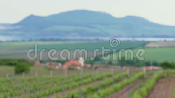 两只手紧握酒杯白葡萄酒在日葡萄园视频的预览图
