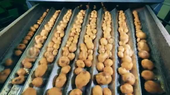 在一家工厂用移动的传送带分拣干净的土豆视频的预览图