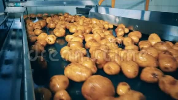 洗过的土豆在食品设施的传送带上移动视频的预览图